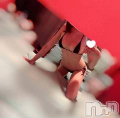 新潟ソープ新潟バニーコレクション(ニイガタバニーコレクション) シズカ(24)の4月23日写メブログ「🐰or👙」