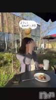 �Ϥ���ޤ���🌸