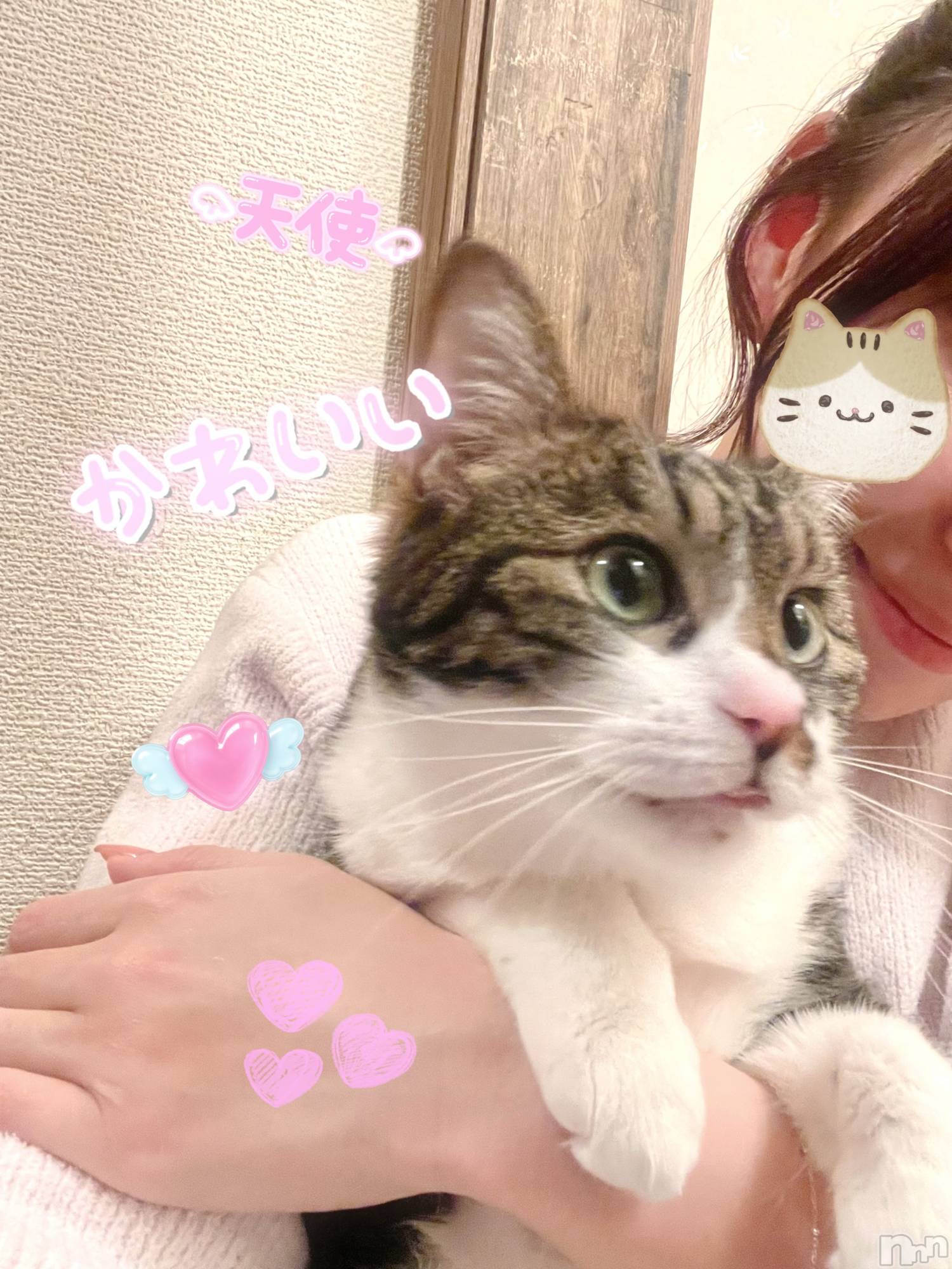 ��ë����Х��顦�����CLUB��Paladin(����֡��ѥ�ǥ���) ��2026ǯ4��11���̥�֥����֥ǥӥ塼���ƣ����ܤǤ�������🐣��