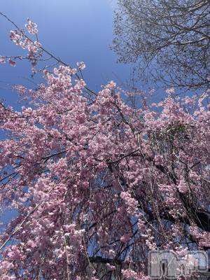 ��ë����Х��顦�����CLUB��Paladin(����֡��ѥ�ǥ���) ��������4��12���̥�֥����ֽ��٤줪�ָ�🌸��