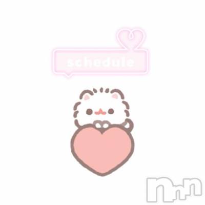 新潟デリヘル Melt(メルト) 【新人】るい(27)の4月20日写メブログ「今週の出勤予定のお知らせ 🕊」