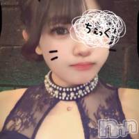 ��Į����Х��顦����� V-niigata-(�֥��˥�����) �ʤߤβ���(2����)