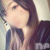 ��Į����Х��顦����� V-niigata-(�֥��˥�����) �ʤߤβ���(2����)