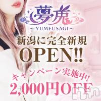 新潟デリヘル 夢兎～YUMEUSAGI～(ユメウサギ)の5月14日お店速報「オープニングキャンペーン開催中です」