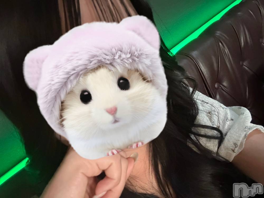 ����������ʥå��������륺�С�Girls Bar Bacchus�������Ź(�Хå��������ޥ��ƥ�) �ͤͤ�4��14���̥�֥����ֽ��ޤ��ƤͤͤǤ�🎀��