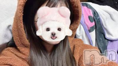 ����������ʥå��������륺�С� Girls Bar Bacchus�������Ź(�Хå��������ޥ��ƥ�) �ͤͤβ���(1����)