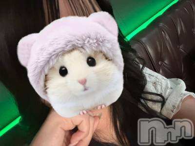 ����������ʥå��������륺�С�Girls Bar Bacchus�������Ź(�Хå��������ޥ��ƥ�) �ͤͤ�4��14���̥�֥����ֽ��ޤ��ƤͤͤǤ�🎀��