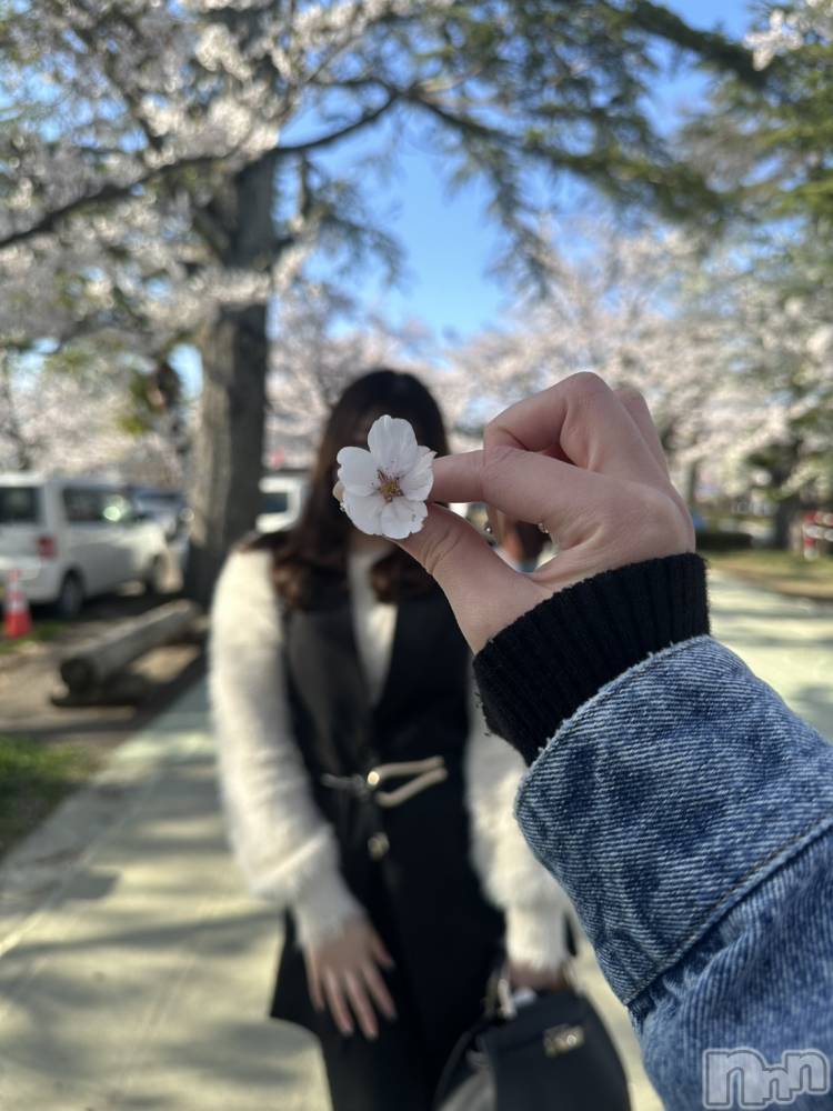 ��Į����Х��顦�����ILY(��������磻) �쥤�ʤ�4��16���̥�֥����ִ����Ƥ���✨��