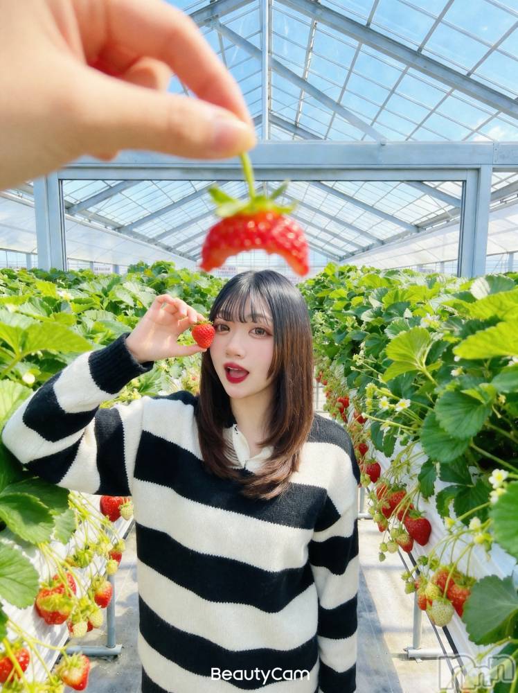 ��Į����Х��顦�����ILY(��������磻) �쥤�ʤ�4��24���̥�֥����֤���ʤˤ⹥���ʤΤ�🥺��