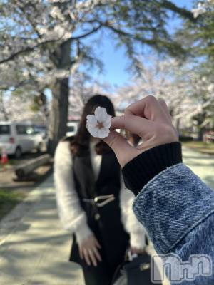 ��Į����Х��顦�����ILY(��������磻) �쥤��(23)��4��16���̥�֥����ִ����Ƥ���✨��