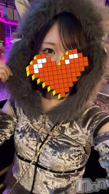 ��Į�ˤ��륹�ʥå��������륺�С��֥��󥻥ץȥС� Lily(���󥻥ץȥС���꡼)�פΥ��㥹�ȡ֤������פξҲ����