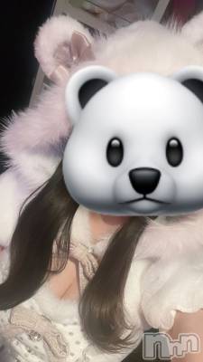 ��Į���ʥå��������륺�С����󥻥ץȥС� Lily(���󥻥ץȥС���꡼) �ޤ�����4��15���̥�֥����֤Ϥ���ޤ���🐻‍❄️��