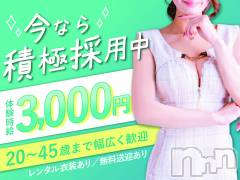 30代・40代が活躍中の落ち着いた大人のお店