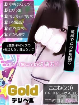 ここね(20) 身長145cm、スリーサイズB82(C).W54.H83。新潟デリヘル アミューズメントデリバリーヘルス  ガロパ(アミューズメントデリバリーヘルスガロパ)在籍。