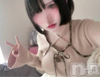 新潟デリヘル アミューズメントデリバリーヘルス  ガロパ(アミューズメントデリバリーヘルスガロパ) ここね(20)の4月19日写メブログ「初めての体験入店だよ🥺🎀」
