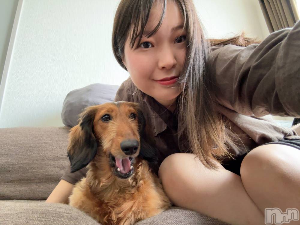 ����������ʥå��������륺�С����פꥹ�ʥå� ��ä��礤(���ޥĥꥹ�ʥå���å��祤) ��������@����߲������4��20���̥�֥����ְ�����������