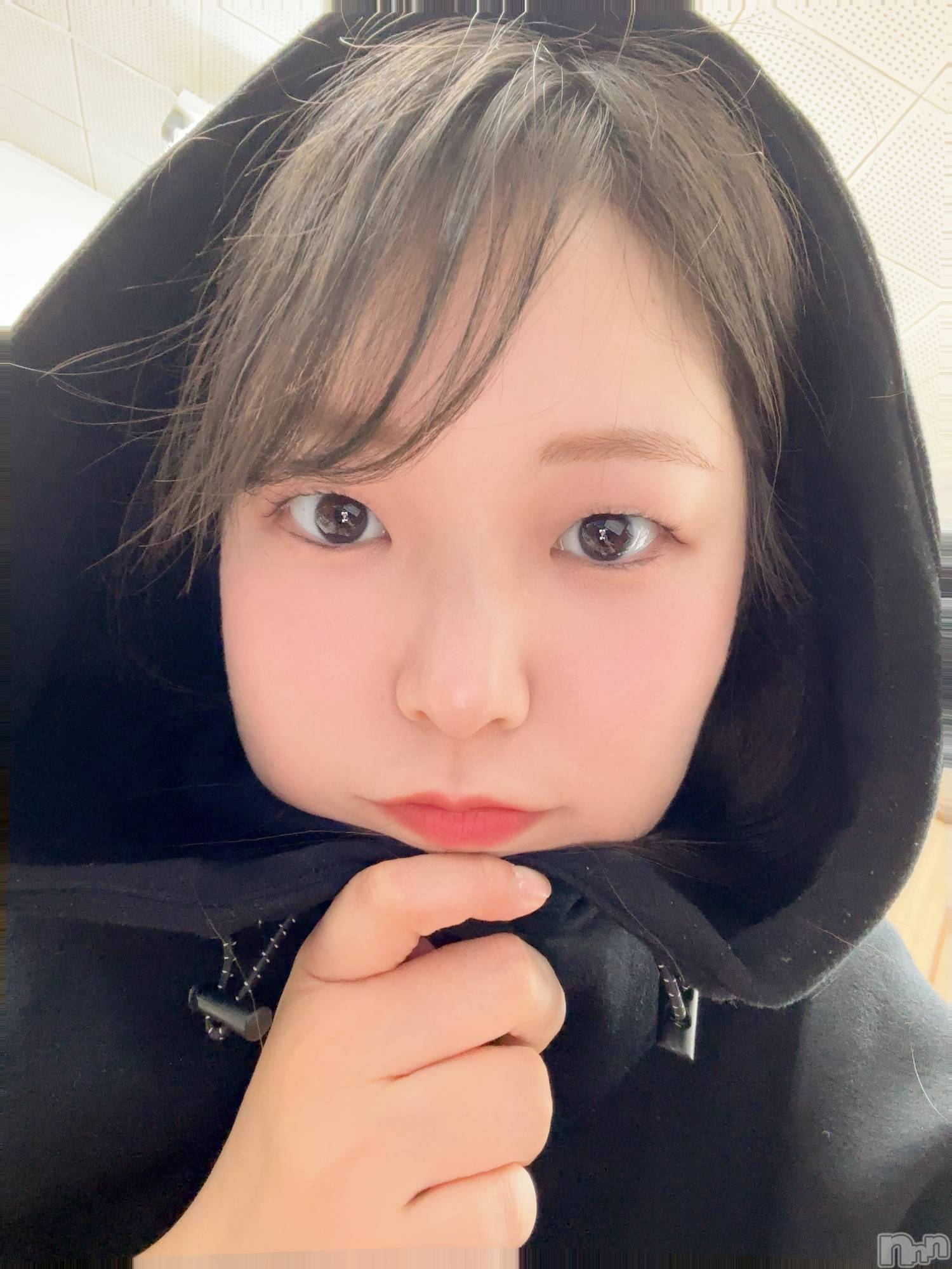 ����������ʥå��������륺�С����פꥹ�ʥå� ��ä��礤(���ޥĥꥹ�ʥå���å��祤) ��2026ǯ6��2���̥�֥����֤ա��ɡ�