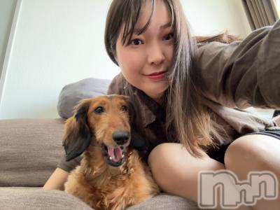 ����������ʥå��������륺�С����פꥹ�ʥå� ��ä��礤(���ޥĥꥹ�ʥå���å��祤) ��������@����߲������4��20���̥�֥����ְ�����������