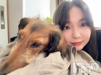 ����������ʥå��������륺�С����פꥹ�ʥå� ��ä��礤(���ޥĥꥹ�ʥå���å��祤) ��������@����߲������5��11���̥�֥����֥��å̡�