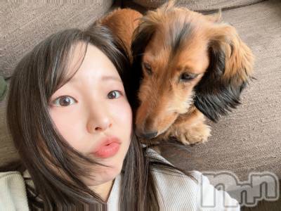 ����������ʥå��������륺�С����פꥹ�ʥå� ��ä��礤(���ޥĥꥹ�ʥå���å��祤) ��������@����߲������5��18���̥�֥�������ǯ�֤��