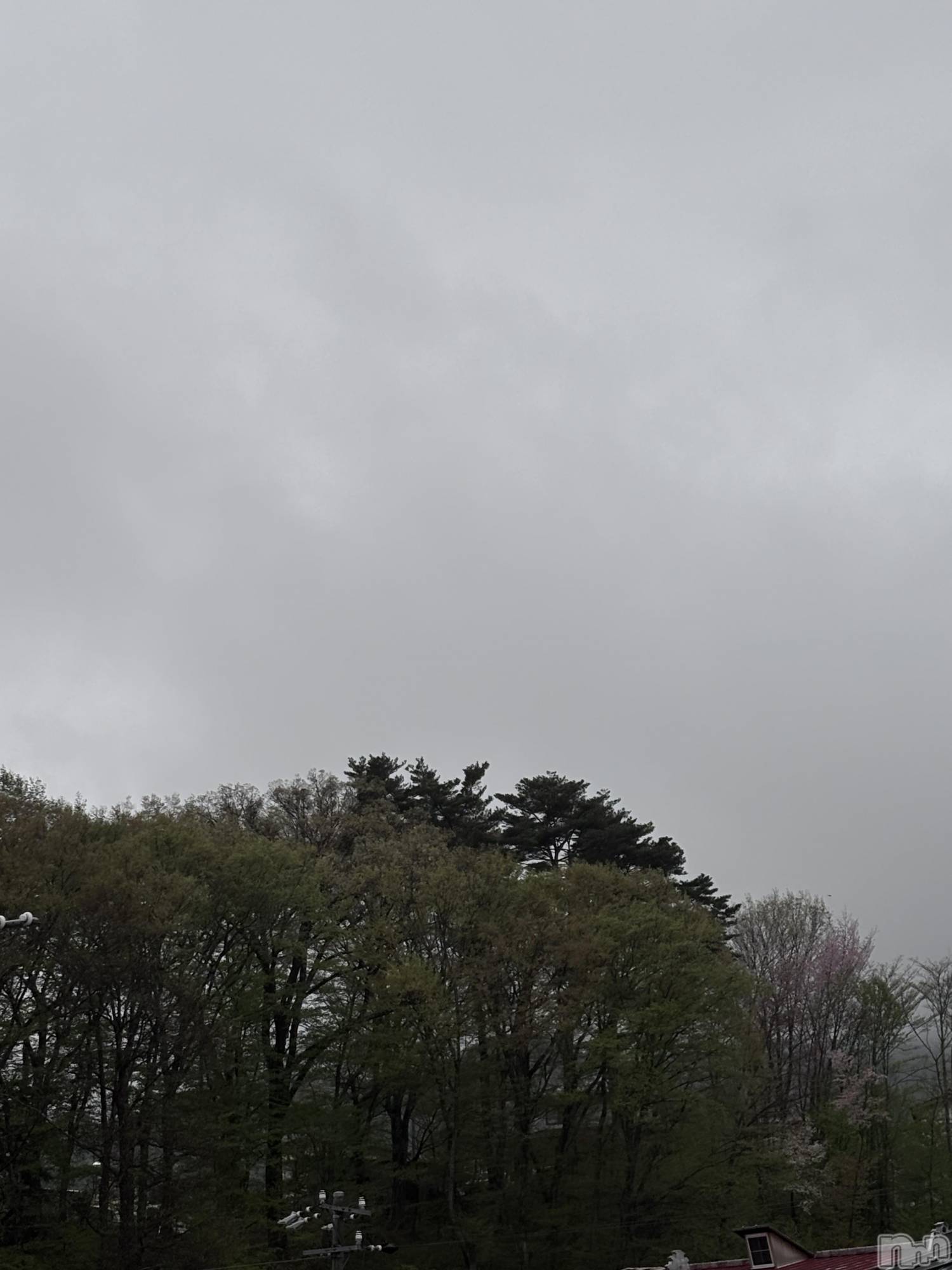 ��ˬ����Х��顦����֥���� �ץ���� ��ˬ(����� �ץ���� ����) ��2026ǯ4��23���̥�֥�����🌧😢��