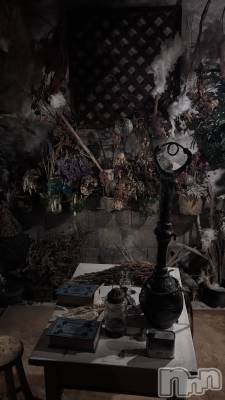 ���� ��(21) ��Ĺ155cm����ˬ����Х��顦����� ����� �ץ���� ��ˬ(����� �ץ���� ����)���ҡ�