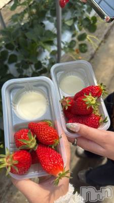 ��ˬ�ԥ���Х��顦����� ����� �ץ���� ��ˬ(����� �ץ���� ����) ���� �Ϥ�β���(1����)