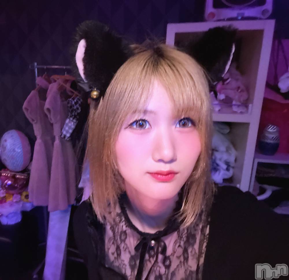 ��Į���ʥå��������륺�С����󥻥ץȥС� Lily(���󥻥ץȥС���꡼) �Ϥ��6��8���̥�֥����ֱ��Ǥ���☔️��