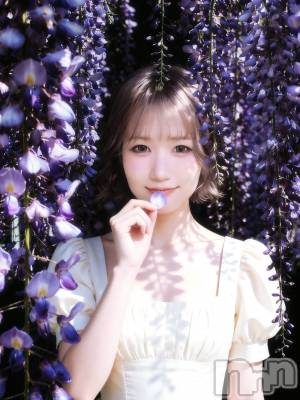 ��Į���ʥå��������륺�С����󥻥ץȥС� Lily(���󥻥ץȥС���꡼) �Ϥ�(23)��5��14���̥�֥����֤��פ�🏮��