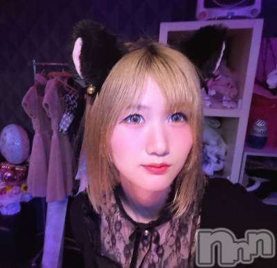 ��Į���ʥå��������륺�С����󥻥ץȥС� Lily(���󥻥ץȥС���꡼) �Ϥ�(23)��6��8���̥�֥����ֱ��Ǥ���☔️��
