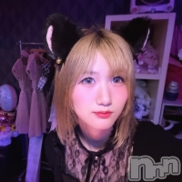 ���󥻥ץȥС� Lily