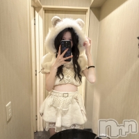���󥻥ץȥС� Lily