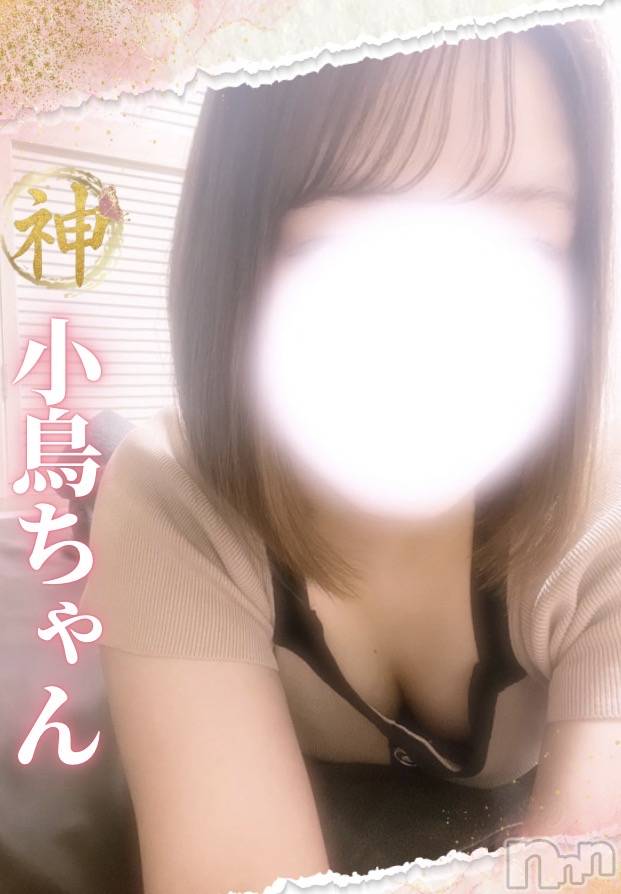 【新人】小鳥ちゃん