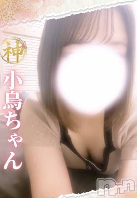 【新人】小鳥ちゃん(ヒミツ) スリーサイズB().W.H。新潟メンズエステ Men's Spa 神の手(メンズスパカミノテ)在籍。