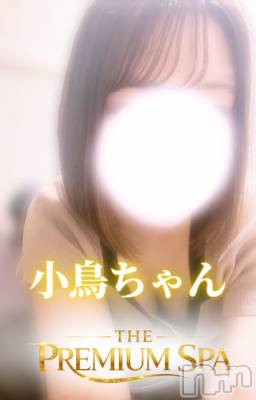 小鳥ちゃん(ヒミツ) スリーサイズB().W.H。新潟メンズエステ Men's Spa 神の手(メンズスパカミノテ)在籍。