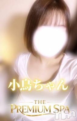 小鳥ちゃん(ヒミツ) スリーサイズB().W.H。新潟メンズエステ THE PREMIUM SPA(ザ プレミアムスパ)在籍。