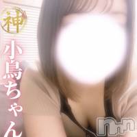 【新人】小鳥ちゃん