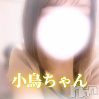 小鳥ちゃん