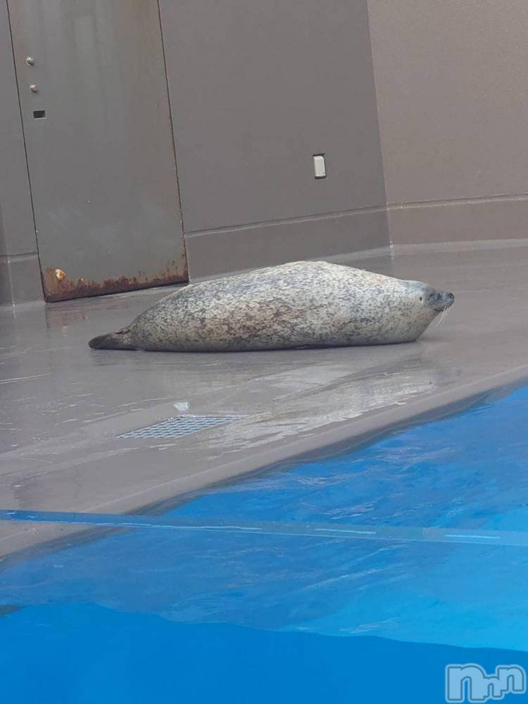 三条デリヘル新潟三条燕ちゃんこ(ニイガタサンジョウツバメチャンコ) ももか(36)の10月8日写メブログ「本日よりプリンセス休暇です」