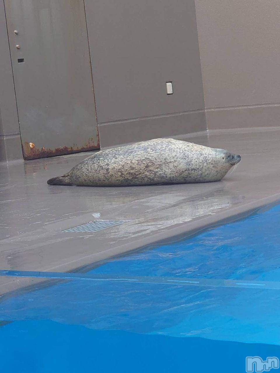 三条デリヘル新潟三条燕ちゃんこ(ニイガタサンジョウツバメチャンコ)ももか(36)の2026年10月8日写メブログ「本日よりプリンセス休暇です」