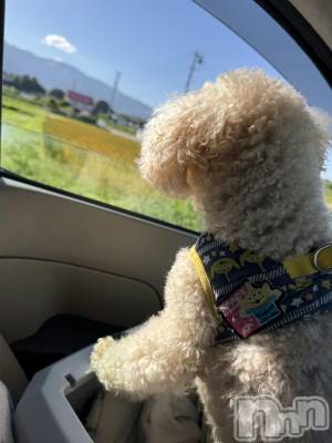 ��ˬ����Х��顦����֥���� �ץ���� ��ˬ(����� �ץ���� ����) �� �ᤤ(20)��6��6���̥�֥�����🐶��