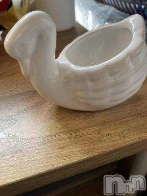 三条デリヘル 新潟三条燕ちゃんこ(ニイガタサンジョウツバメチャンコ) みなみ(27)の4月24日写メブログ「みなみです。こんばんは？？」