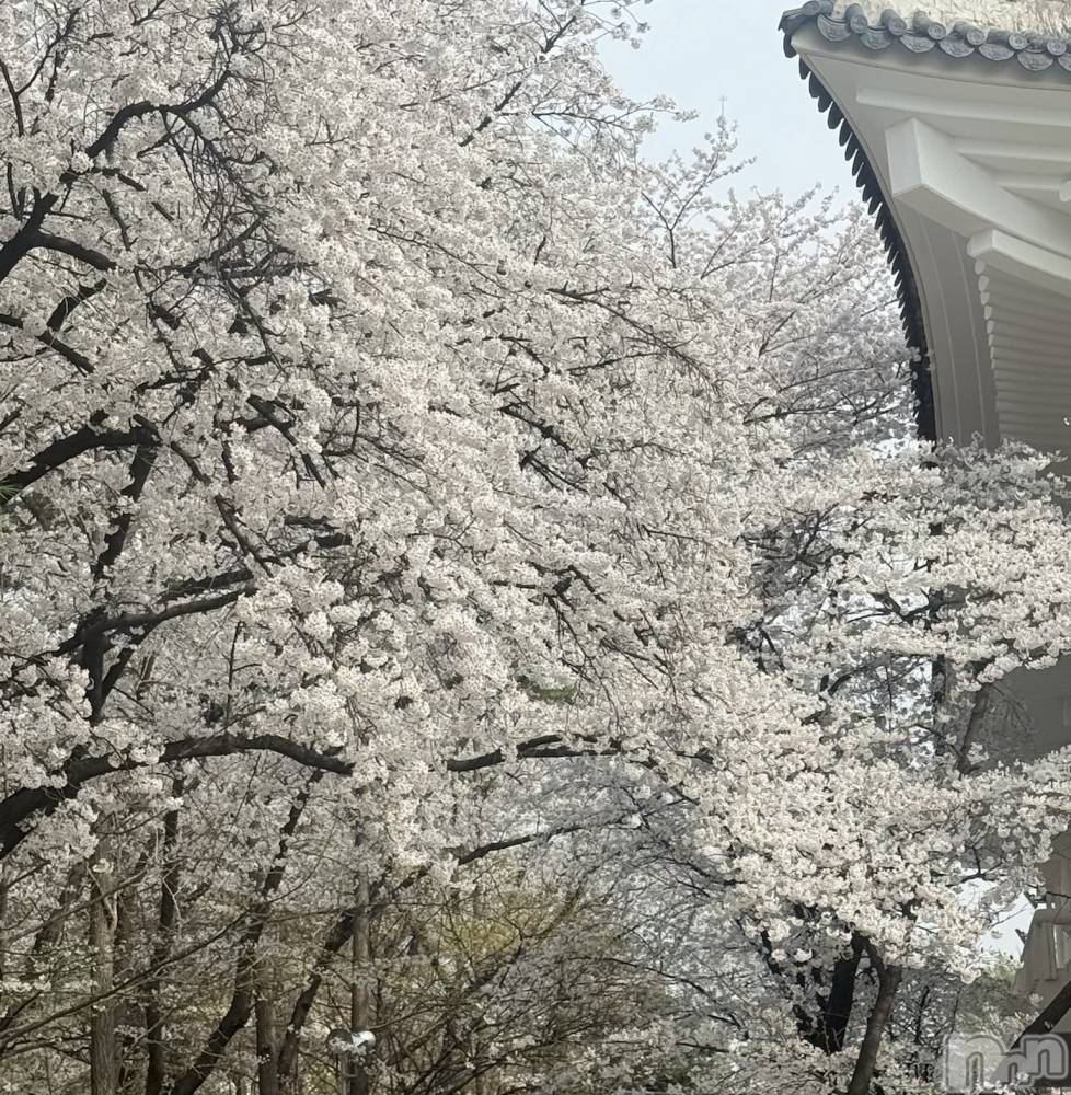 ����������ʥå��������륺�С�CHUN��LUU(�����롼) �Ȥ���4��24���̥�֥����֤Ϥ���ޤ���🎀🎶��