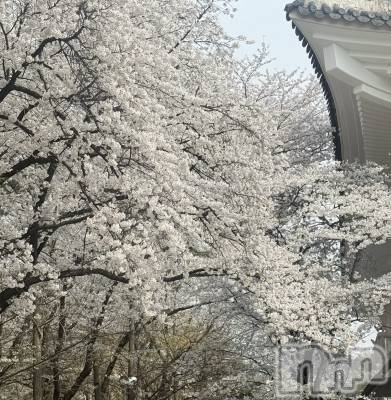 ����������ʥå��������륺�С�CHUN��LUU(�����롼) �Ȥ���4��24���̥�֥����֤Ϥ���ޤ���🎀🎶��