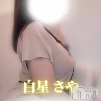 【新人】白星さや