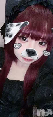 ������(20) ��Ĺ158cm����Ʋ���ʥå��������륺�С� the BAR XXI(���å������å�������)���ҡ�
