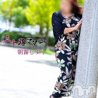 朝霧しずく