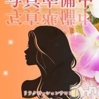 （新人）