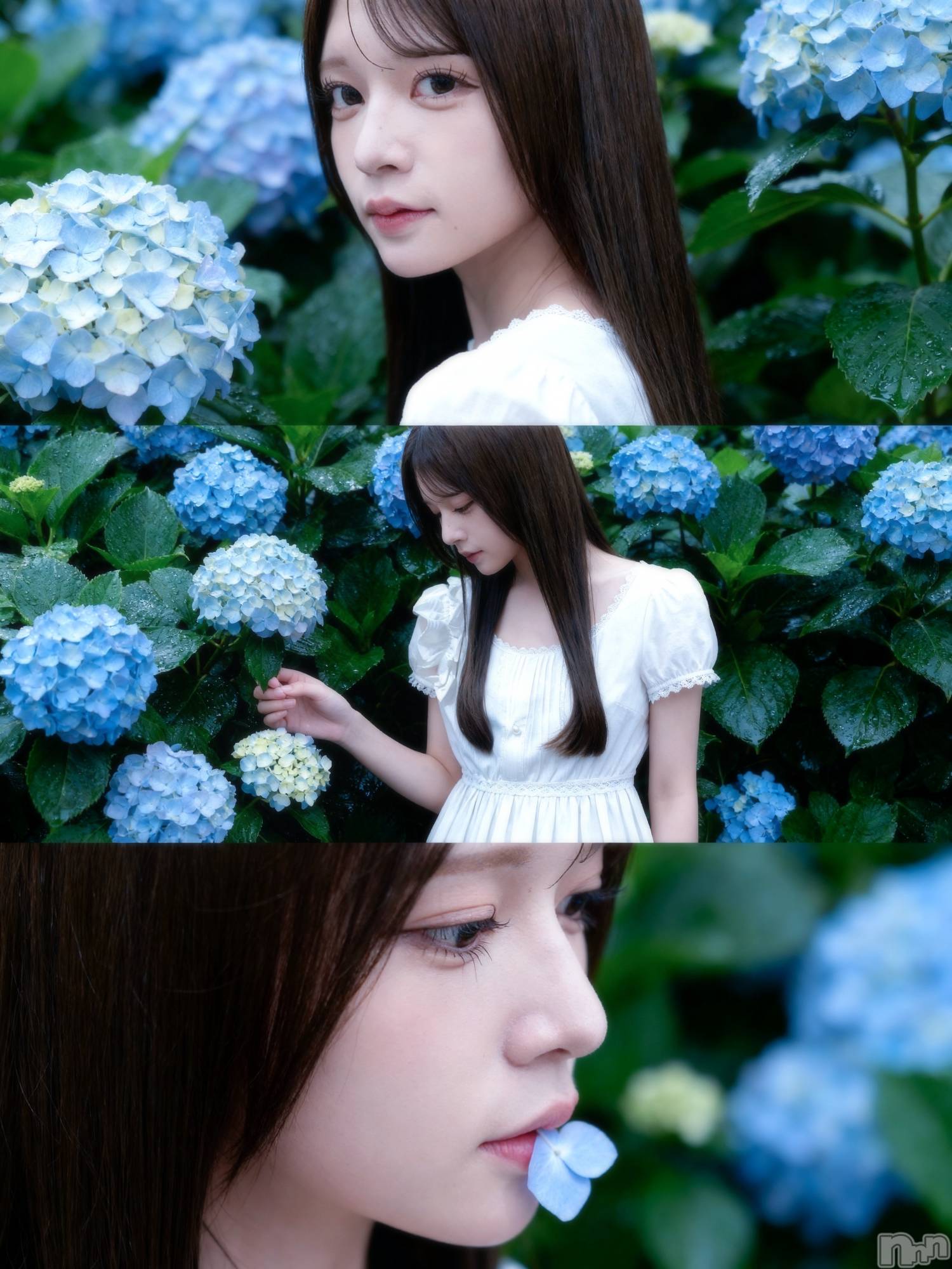 ����������ʥå��������륺�С�JEUNESSE(����ͥ�) ��2026ǯ6��1���̥�֥�����6�����