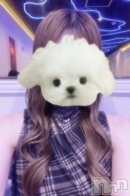 ����������ʥå��������륺�С� JEUNESSE(����ͥ�) hina�β���(1����)